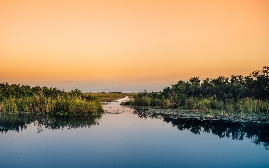 Explore the Everglades in Miami and live an unforgettable adventure.