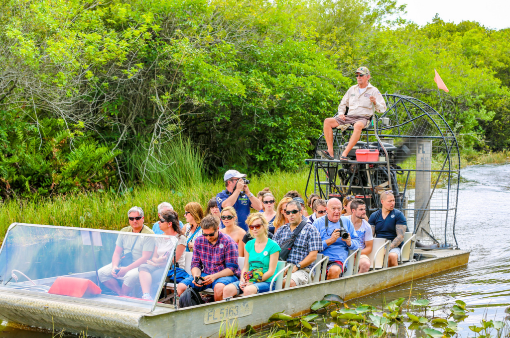 Explore the Everglades in Miami and live an unforgettable adventure